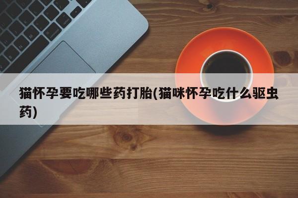 流产药猫怀孕要吃哪些药打胎(猫咪怀孕吃什么驱虫药)