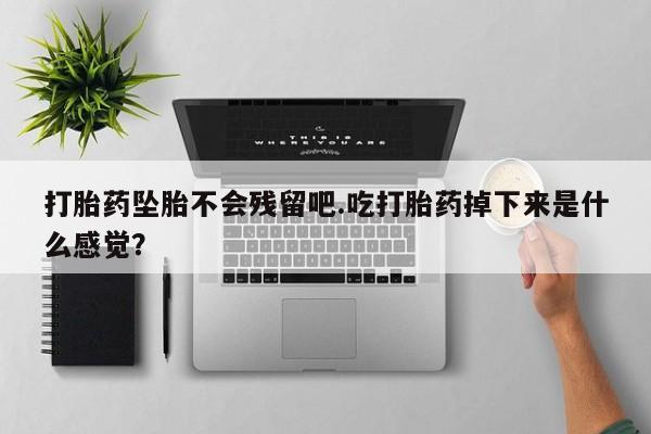 流产药打胎药坠胎不会残留吧.吃打胎药掉下来是什么感觉？
