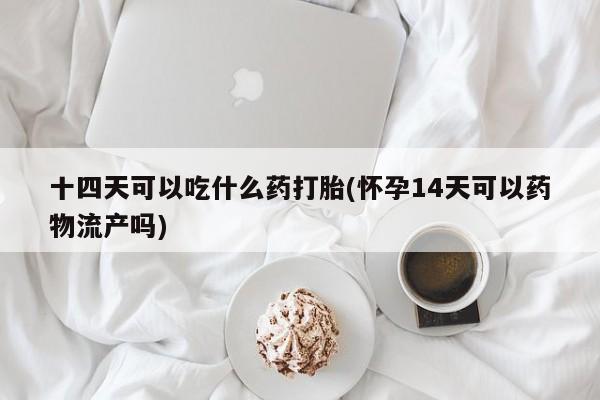 流产药十四天可以吃什么药打胎(怀孕14天可以药物流产吗)